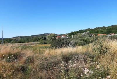 Teren plat, intravilan, zona rezidentiala in Corunca. Ideal pentru investitor - 2