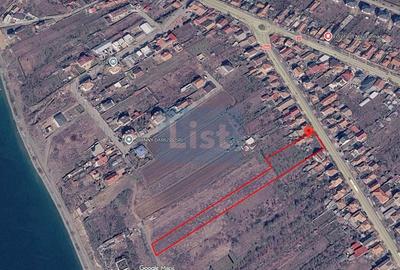 Casă + 4681 mp teren | Oportunitate investițională | Șimian - 3