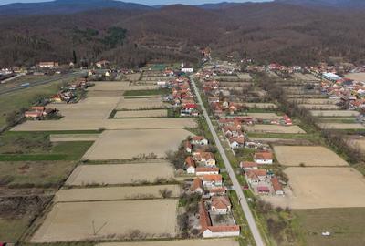 Loc de casă în Odvoș - Conop 3000mp - 12