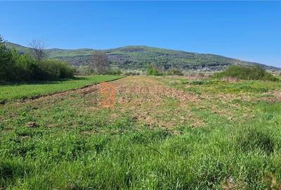 Teren extravilan zona Parscov - 1