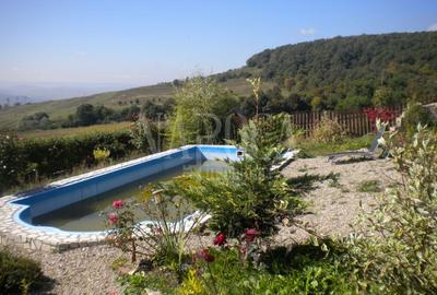 Casa 5 camere de vanzare in Dambul Rotund, Cluj Napoca - 2