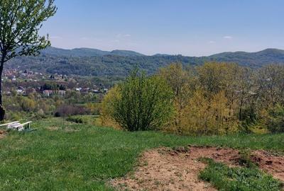 Teren Campina varful Muscel - 6