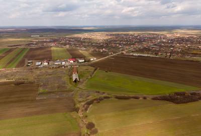 Fermă cu teren intravilan de 35000 mp în Mișca - 3