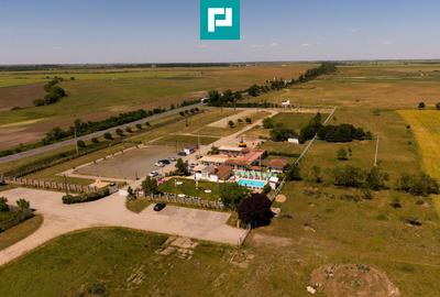 Business la cheie și 25.000 mp teren Arad-Oradea - 14