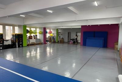 Spatiu de Birouri 240mp Baza 3 - 3