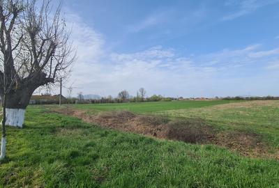 TEREN INTRAVILAN DE 2134 MP CU DRUM PROPRIU ÎN PREJMER – IDEAL PENTRU INVESTIȚIE - 5