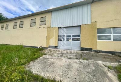 Spatii productie si depozitare, zona Sebis - Prunisor-Carand - 3