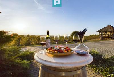 Pivnițele Birăuaș D.O.C Miniș - RATE FĂRĂ DOBÂNDĂ - 1