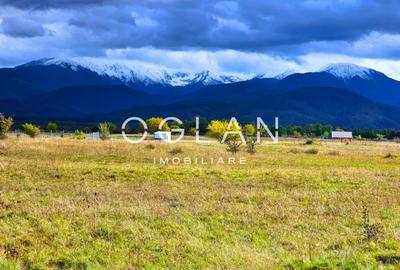 SUPER OFERTA! Teren 2000mp - Valea Avrigului, Sibiu - 1