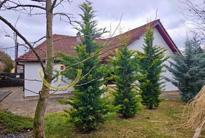 Casă de vânzare în centrul Sibiului – 3 camere și curte privată - 3