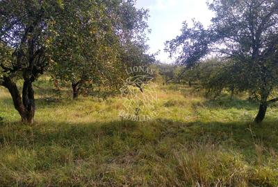 Teren agricol extravilan de 1500 mp, în Nord-Est