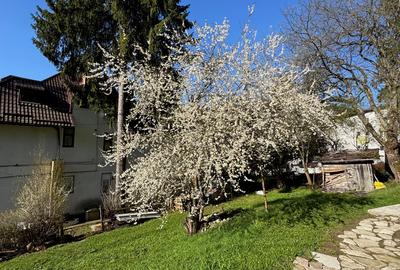 Apartament la curte Predeal - 11