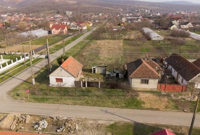 Teren 1.570 mp + casă din cărămidă–zonă liniștită - 14