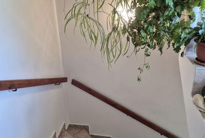Casa de Vazare , Centru Sfantu Gheorghe - 13