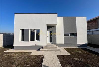 Casa individuala - 3 camere - 310 mp teren - 1