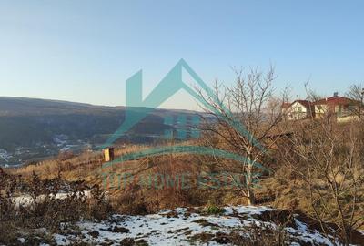 Teren extravilan in Popesti deal, comuna Baciu! - 2