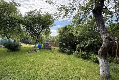 2 Case + teren 1390 mp langa parcul central Provita de Sus - 50