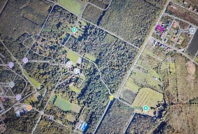 Teren de vanzare aproape de Muzeul Satului Banatean Giarmata Vii - 1