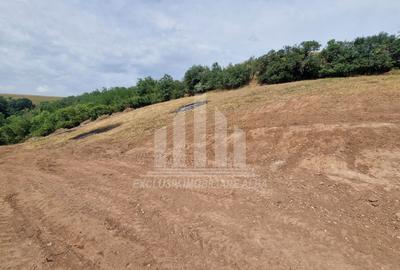 Teren intravilan | 2000 mp | Toate utilitatile | Micesti-Sard - 3
