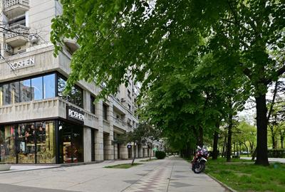 VANZARE Duplex 4 camere Bulevardul Unirii 12 - Fantani vedere panoramica Luminos - 22