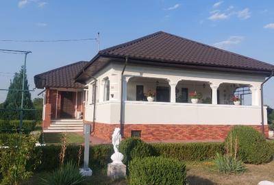 Ploiesti Puchenii Mari - Odai, la 15 km de Ploiești și 40 km de Buc - 12