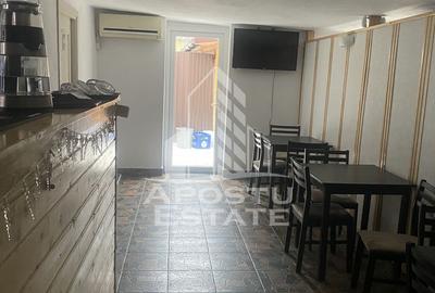 Casa unifamiliala în Timișoara,cu spațiul comercial - 21