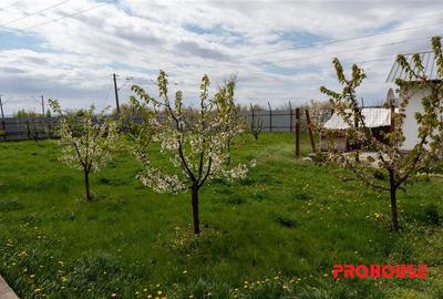 Pensiune + 4,7 Ha teren E85 Roman - Neamț - Afacere la cheie - 10