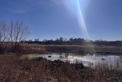Periș, sat Brătulești, teren intravilan cu deschidere la lac - 5