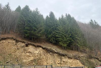 Cabana de vanzare cu 500mp  teren  pe Valea Racataului - 9