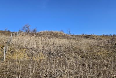 20 Euro/mp, Teren superb, 5.665 mp, Valea Fantelor-Iris - 8