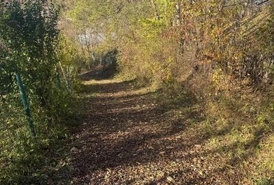 Teren langa pădure 6400mp+casa demolabila-deschidere 35 ml - 14