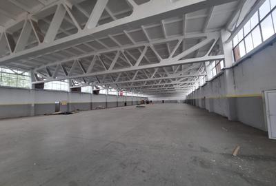 Închiriere Hală / Spațiu pentru Depozitare sau Producție – Zona Industrială Est, - 1