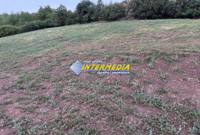 Teren intravilan de vanzare 2000 mp in Sard - 3