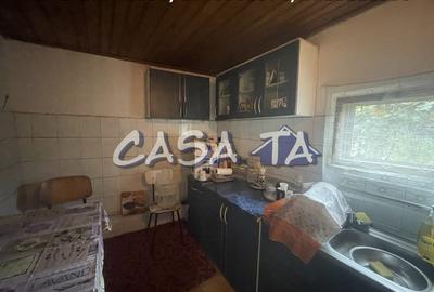 Casa 4 Camere + Teren (6500mp) si Anexe, Turcinesti - 17