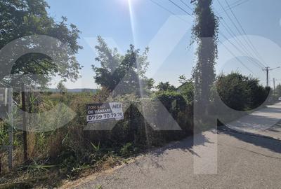 Teren intravilan Bascov - Lunca | 3151 mp - 2