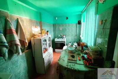 Casa P+1+M, Costesti, Arges , 24 km de Pitesti - 9