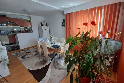 Casa moderna, foarte spatioasa, cu  1500 mp teren, în  Dambul Rotund - 14