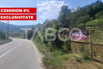 Teren 2500 mp Curmatura Rasinari 40 m deschidere la drum asfaltat - 1