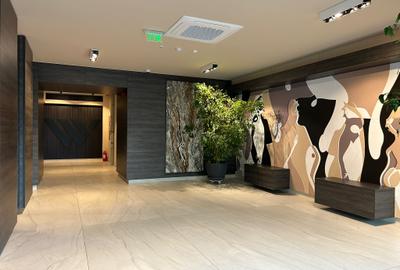 Aviatiei 3 camere lux - loft - 10