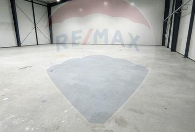 Spațiu industrial hala 572 mp de inchiriat - 1