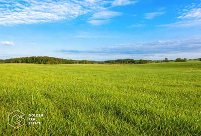 Teren agricol extravilan de 23400 mp, în Cuvin