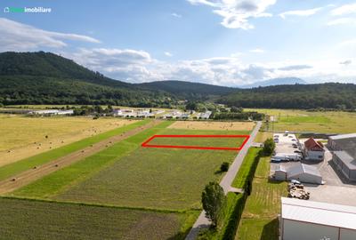 Teren industrial Brașov, ieșire spre Cristian, 55 metri front stradal - 7
