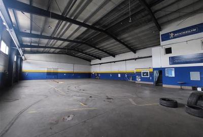 3 hale de inchiriat in Micalaca - 1