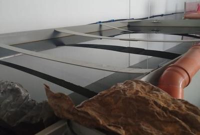 Pensiune + fermă piscicolă (sturion/caviar) | Saru Dornei/Sarisor - 18