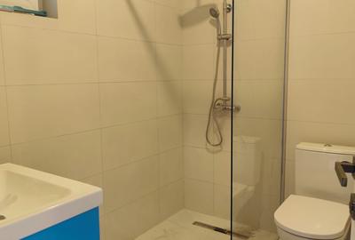 FARA COMISIOANE casa cu 4 - 5 camere P+1+pod 2 placi terasa cam tehnic la cheie - 11