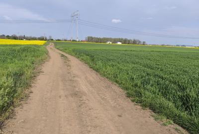 Frumusani DN 4 Popas-20km de Bucuresti , posibilitate parcelare - 1