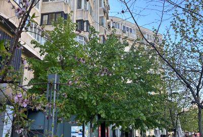 DECEBAL,imobil stradal,monolit,locatie exceptionala in centru,metrou,parcare - 1