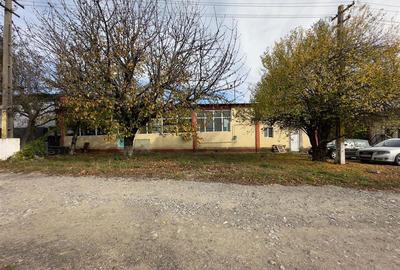 Hala, Iasi, CUG, 211mp, zona vamii - 11