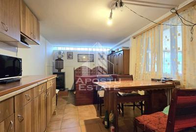 Casa Individuala Dragsina, Teren 2600 Mp - 16