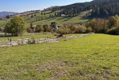 Parcelă de vânzare în inima Bucovinei – Mănăstirea Humorului - 1